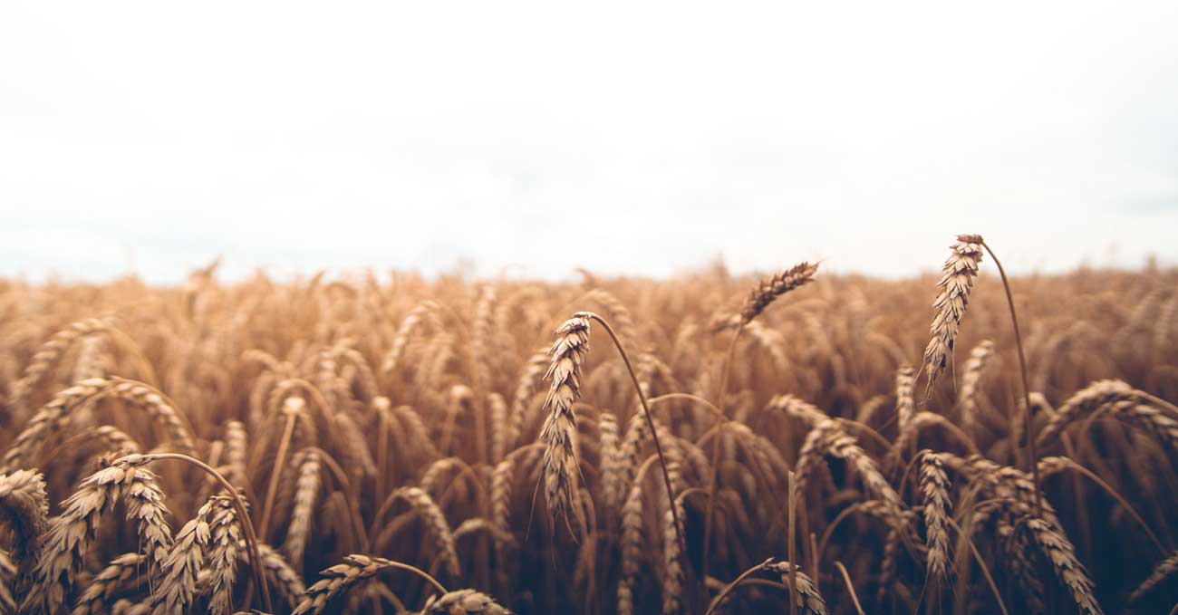 Footer Background Image